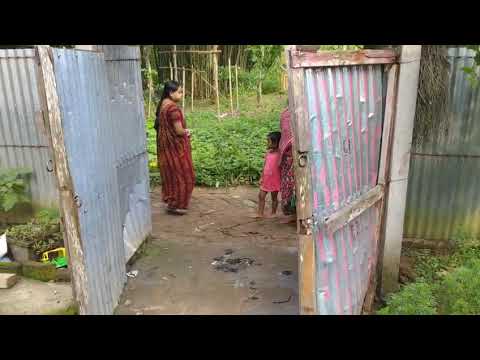 বামুটিয়ায় বিএসএফ জওয়ানের বাড়ির সামনে বোমা বিস্ফোরণ | নবগ্রামে আতঙ্ক | Bamutia News