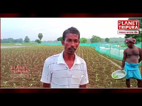 সোনামুড়া বন্যায় ক্ষতিগ্রস্ত চাষিরা পেলনা আর্থিক অনুদান | Sonamura Tripura | Planet Tripura News