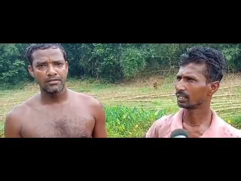 চড়িলাম বন্যায় ভেঙ্গে যাওয়ার রাস্তা অতি দ্রুত মেরামতের দাবি গ্রামবাসীর | Planet Tripura News