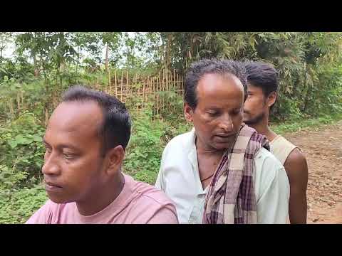 | Tripura News
