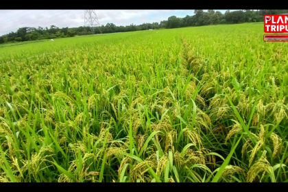 planettripura